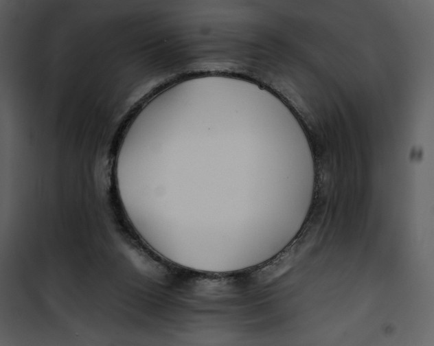 X0000100860160200807181144