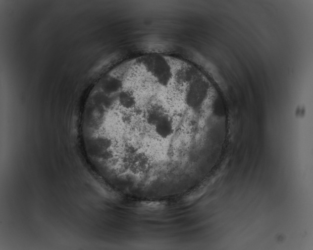 X0000100860161200807181144