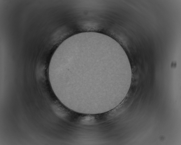 X0000100860162200807181144