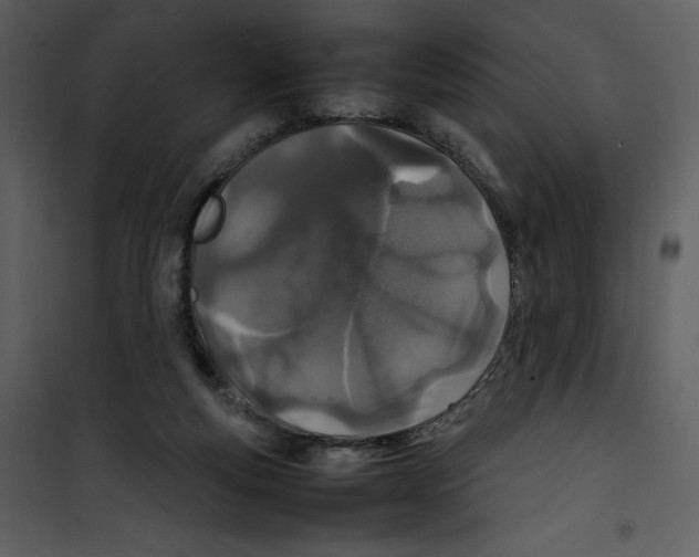 X0000100860163200807181144