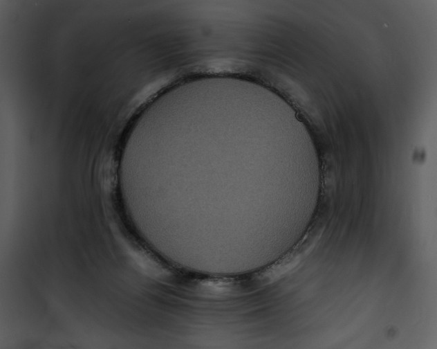 X0000100860164200807181144