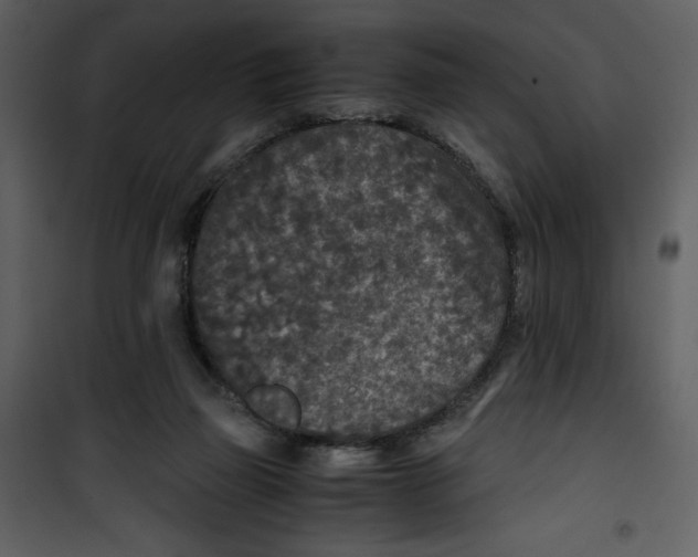 X0000100860165200807181144