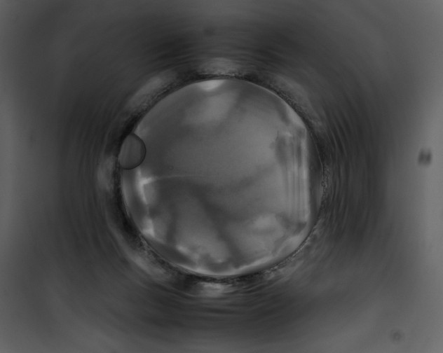 X0000100860167200807181144