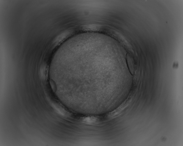 X0000100860168200807181144