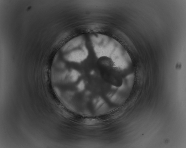 X0000100860169200807181144