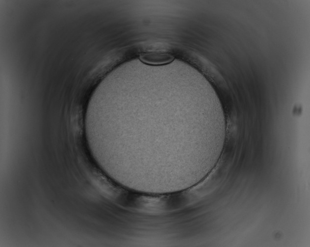 X0000100860170200807181144