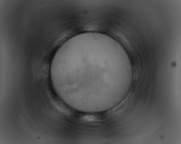 X0000100860171200807181144