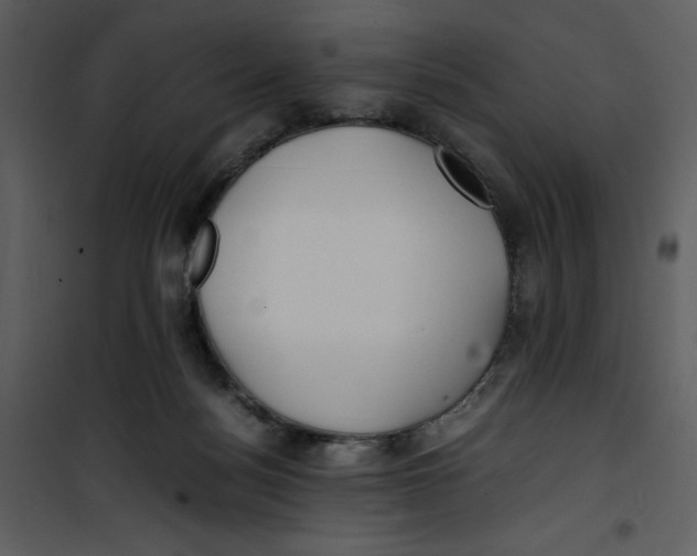 X0000100860172200807181144