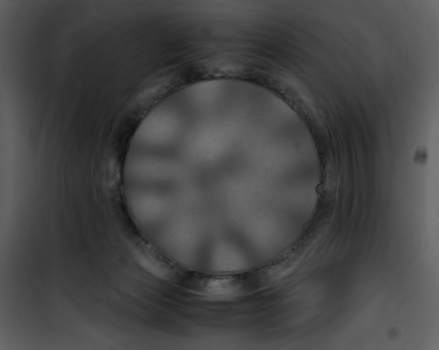 X0000100860173200807181144