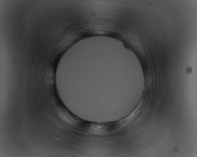 X0000100860174200807181144