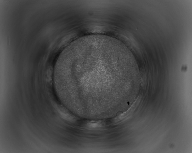 X0000100860175200807181144