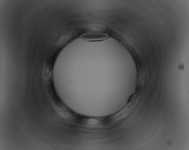 X0000100860176200807181144