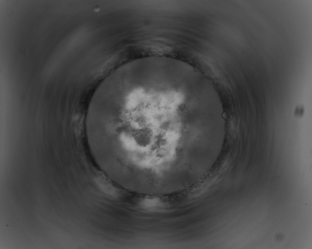 X0000100860177200807181144