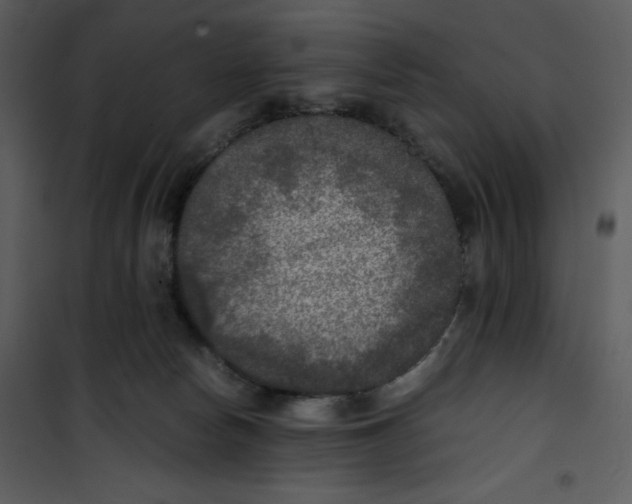 X0000100860178200807181144