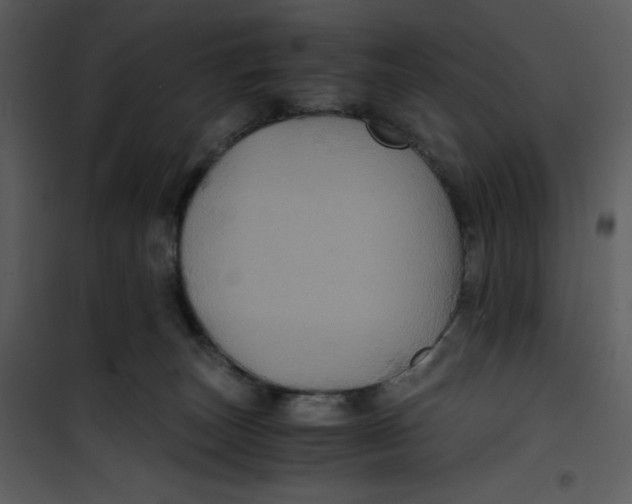 X0000100860179200807181144