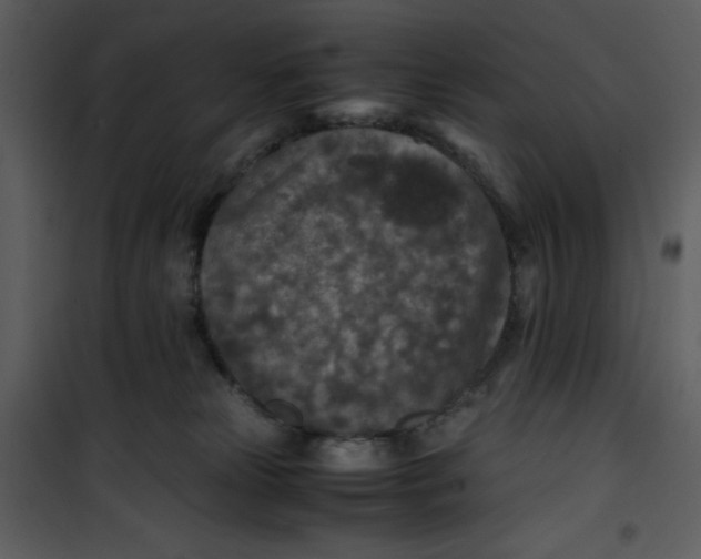 X0000100860181200807181144