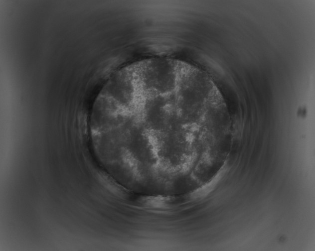 X0000100860182200807181144