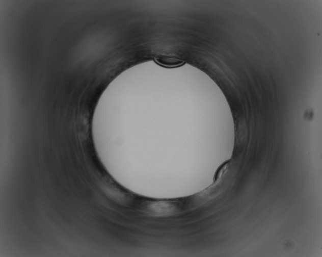 X0000100860183200807181144