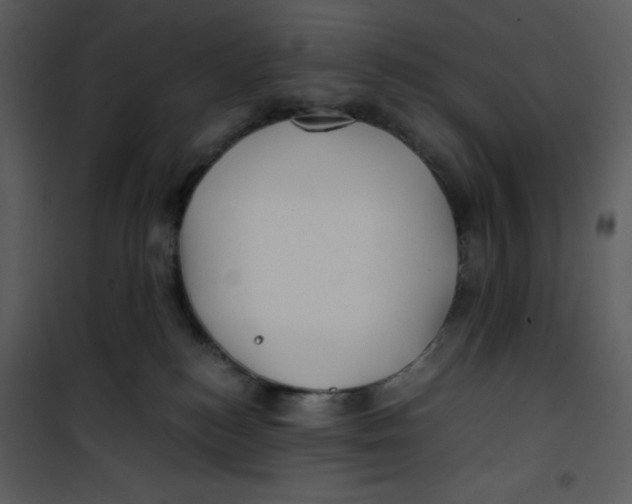 X0000100860184200807181144