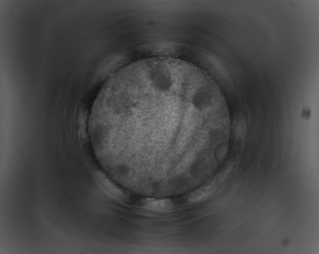 X0000100860185200807181144