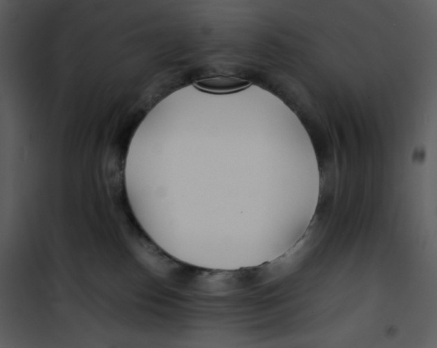 X0000100860186200807181144