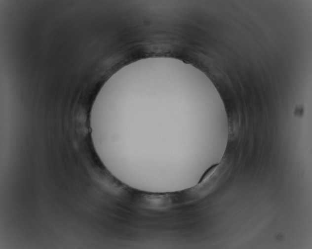 X0000100860187200807181144