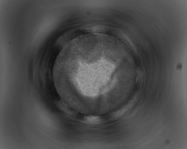 X0000100860189200807181144