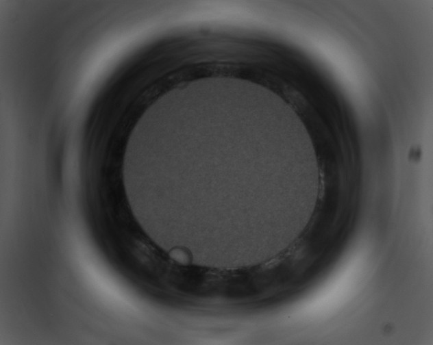 X0000100860190200807181144