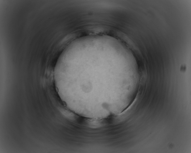 X0000100860191200807181144