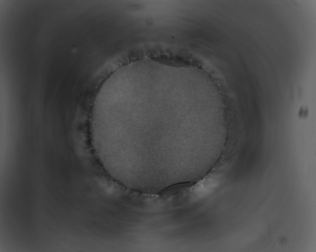 X0000100860192200807181144