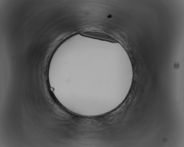 X0000100860193200807181144