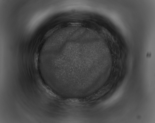 X0000100860194200807181144