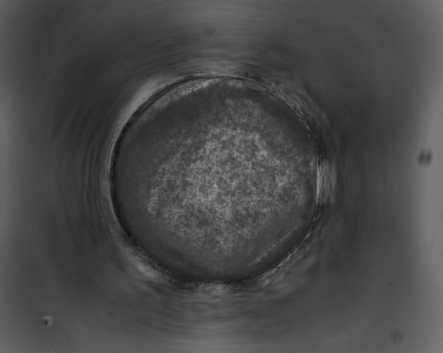 X0000100860195200807181144