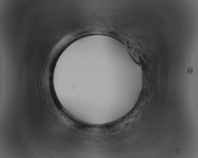 X0000100860197200807181144