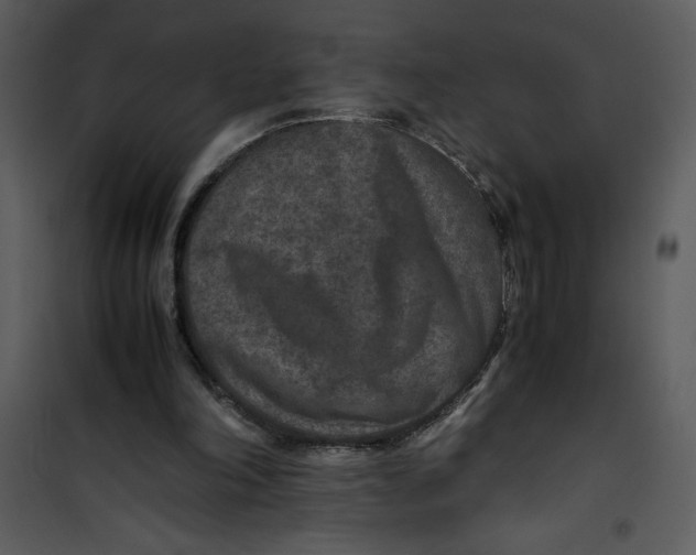 X0000100860198200807181143