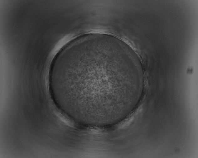 X0000100860199200807181143