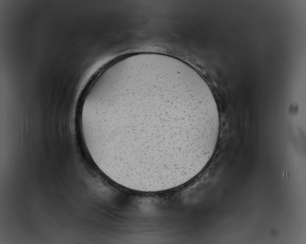 X0000100860200200807181143