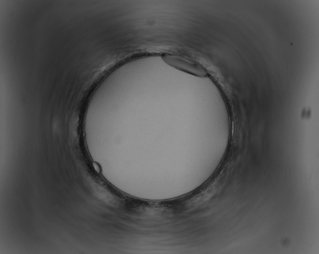 X0000100860201200807181143