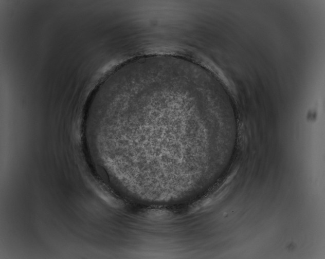 X0000100860203200807181143