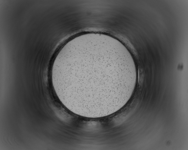 X0000100860204200807181143