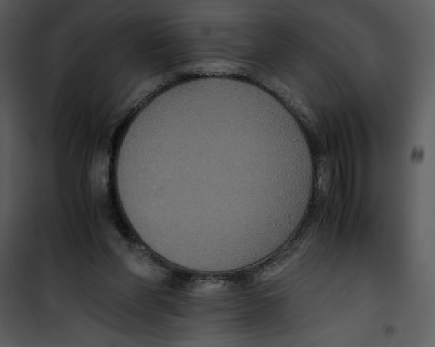 X0000100860206200807181143