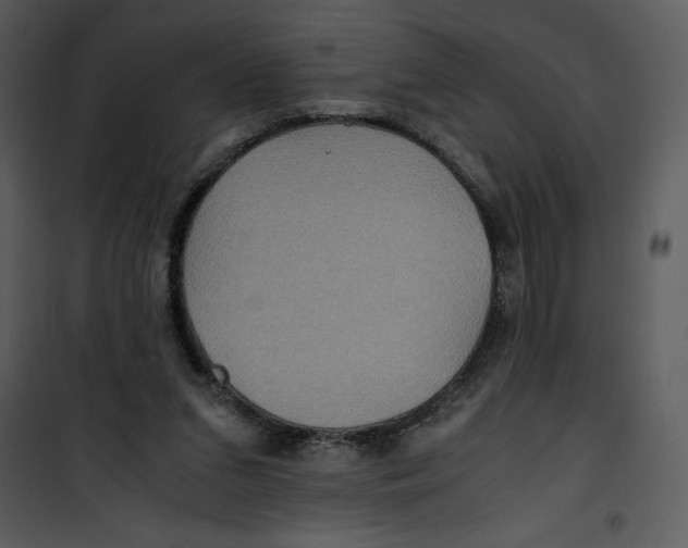 X0000100860207200807181143