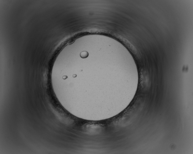 X0000100860208200807181143