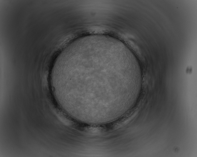 X0000100860209200807181143