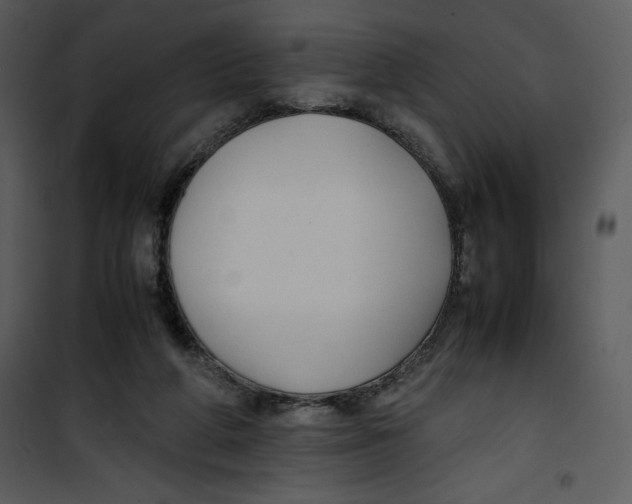 X0000100860210200807181143