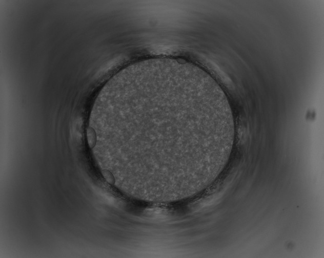 X0000100860211200807181143