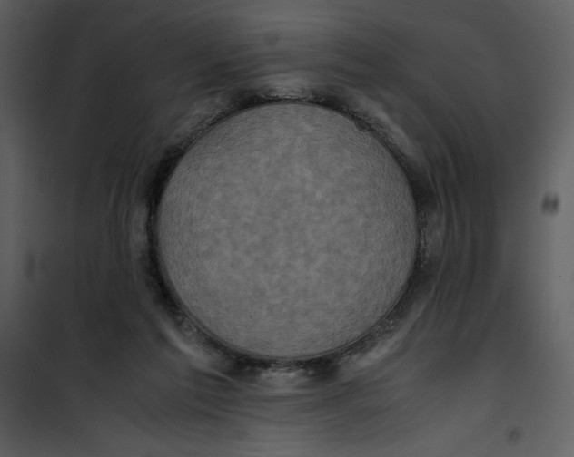 X0000100860213200807181143