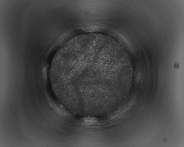 X0000100860214200807181143