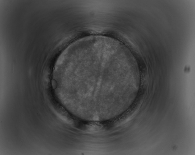 X0000100860215200807181143