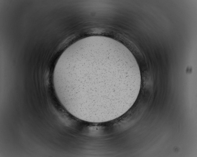 X0000100860216200807181143